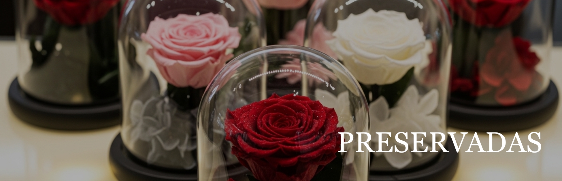 Preservados 