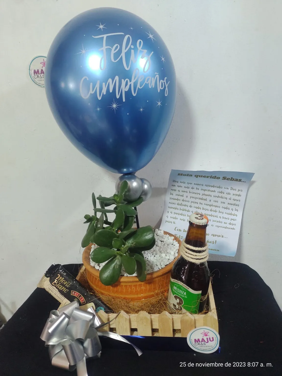 Set de Regalo Planta hade