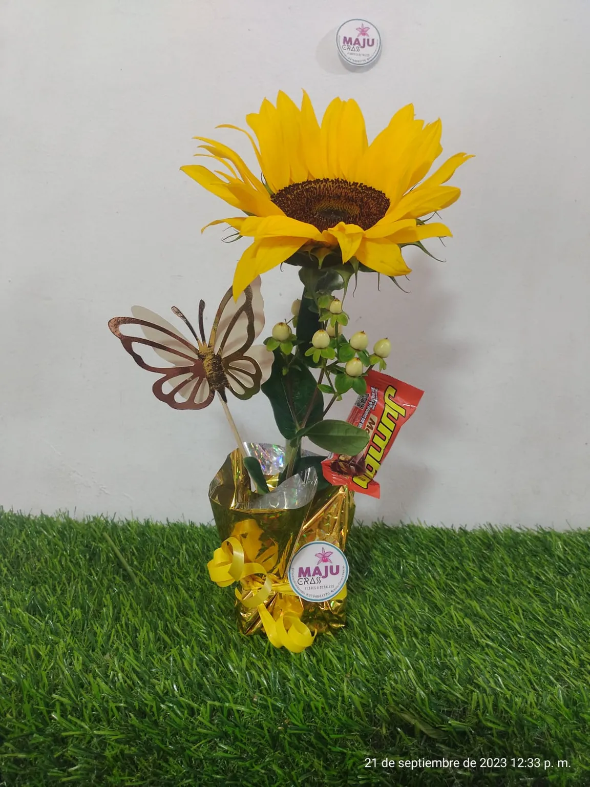 Solitario mariposita