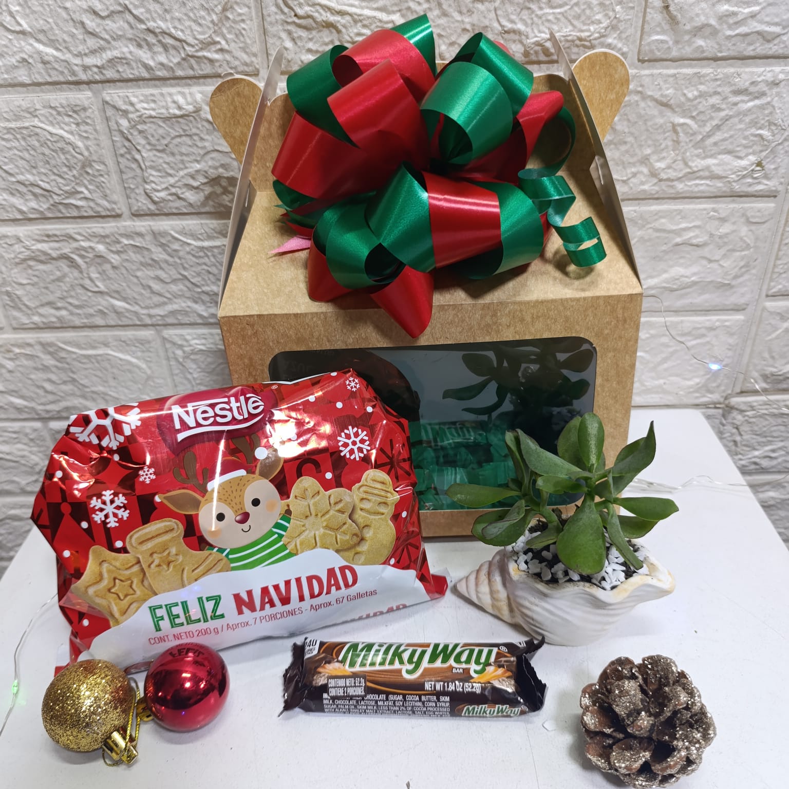 Maletín Navideño Planta