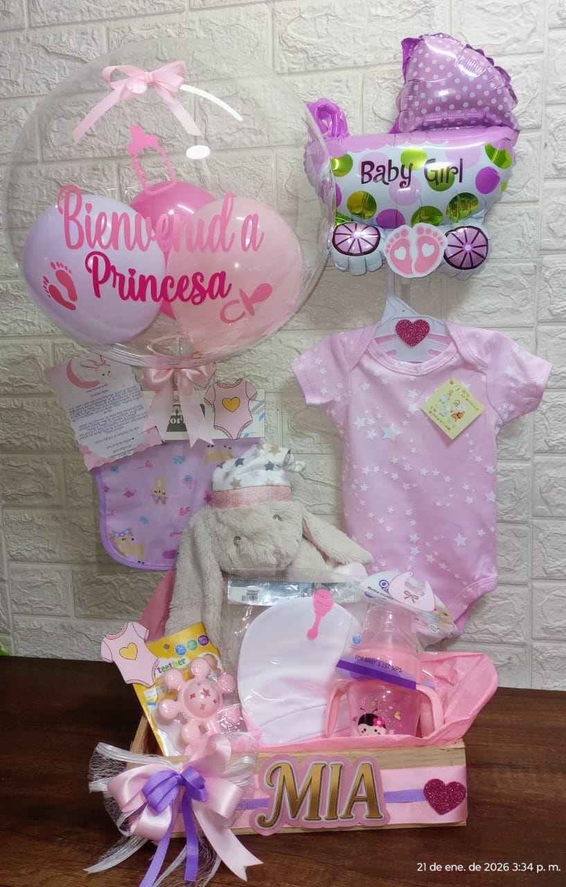 Canasta calurosa Bienvenida Princesa